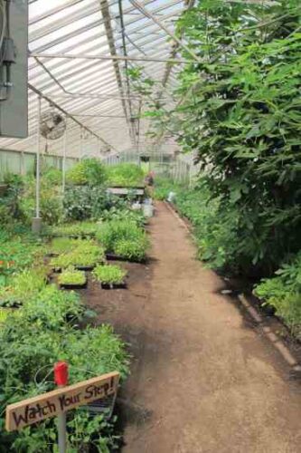 Bringing Organic Farming to Urban New England